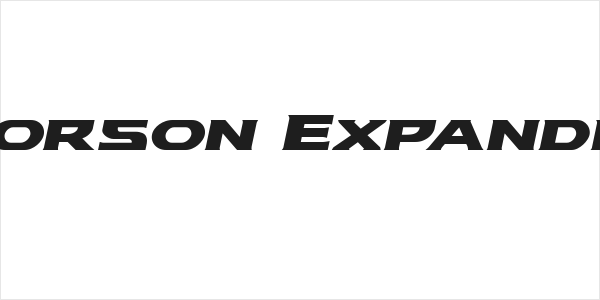 Modi Thorson Expanded Italic Logo