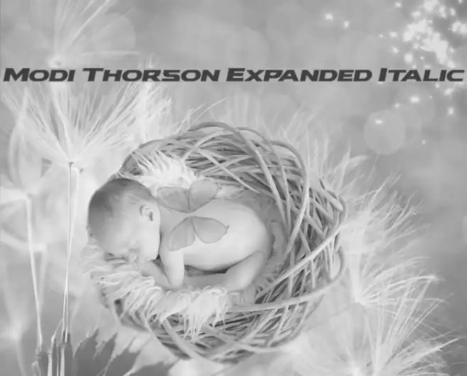 Modi Thorson Expanded Italic Font examples
