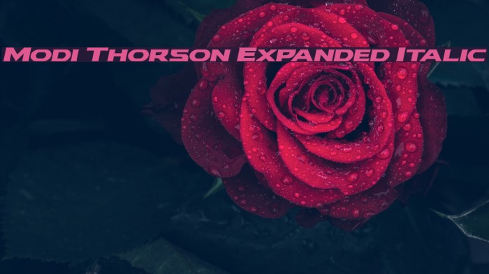 Modi Thorson Expanded Italic Font examples