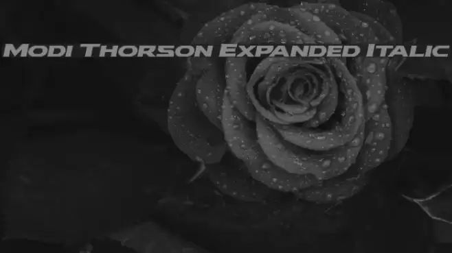 Modi Thorson Expanded Italic Font examples