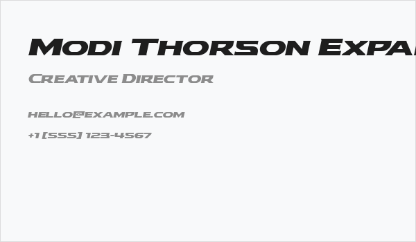Modi Thorson Expanded Italic Business Card