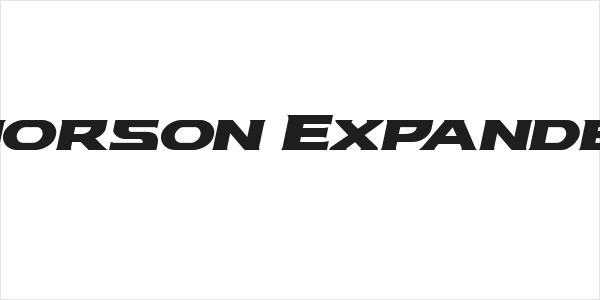 Modi Thorson Expanded Italic Logo