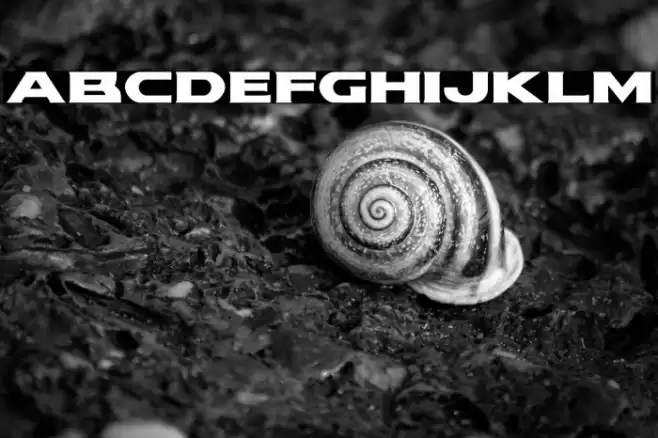 Modi Thorson Expanded Font examples