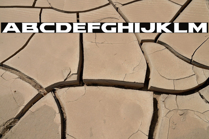 Modi Thorson Expanded Example 3