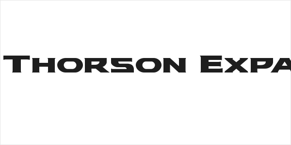 Modi Thorson Expanded Logo