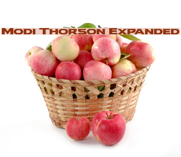 Modi Thorson Expanded Font examples