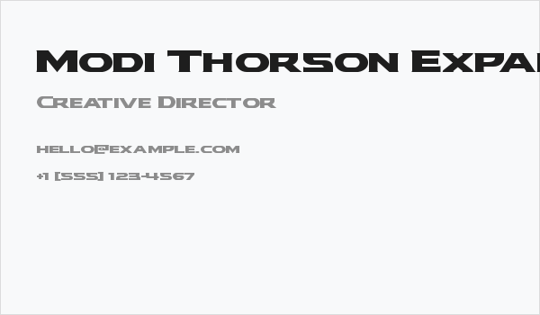 Modi Thorson Expanded Business Card