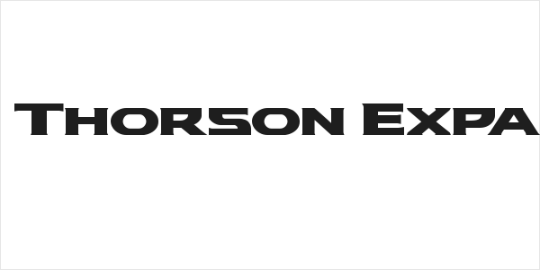 Modi Thorson Expanded Logo