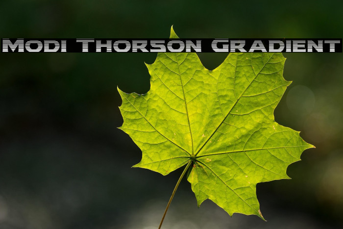 Modi Thorson Gradient Example 3