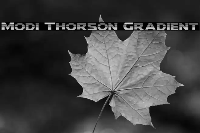 Modi Thorson Gradient Font examples