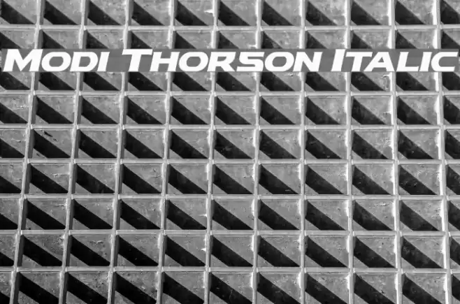 Modi Thorson Italic Font examples