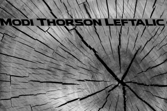 Modi Thorson Leftalic Font examples