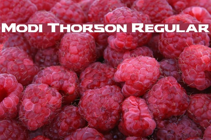 Modi Thorson Regular Font examples