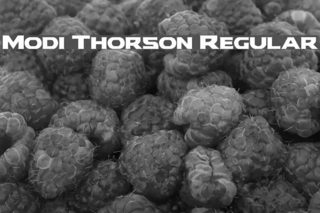 Modi Thorson Regular Example 1