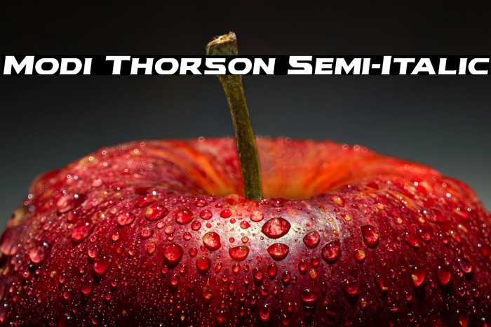 Modi Thorson Semi-Italic Example 1