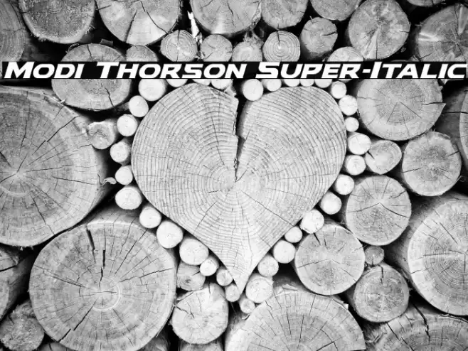 Modi Thorson Super-Italic Font examples