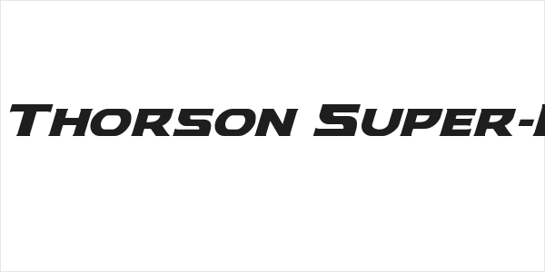 Modi Thorson Super-Italic Logo