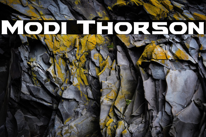 Modi Thorson Example 1