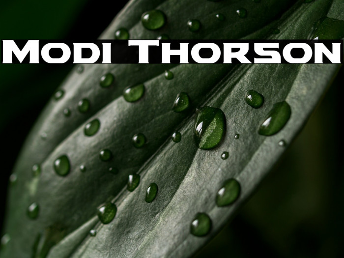 Modi Thorson Example 2