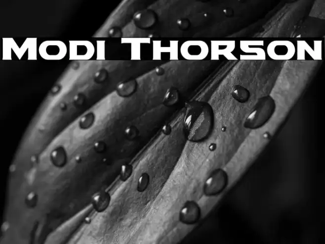 Modi Thorson Example 2
