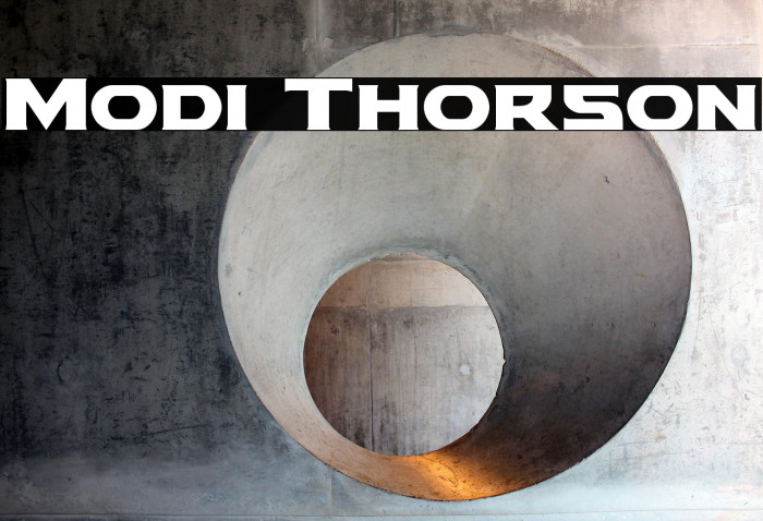 Modi Thorson Example 3