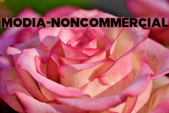 Modia-NonCommercial Schriftart examples