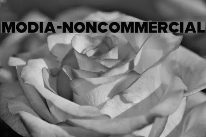 Modia-NonCommercial Schriftart examples