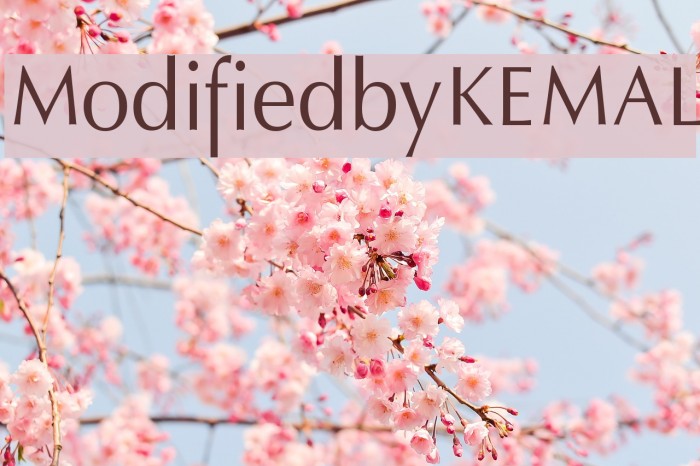 ModifiedbyKEMAL Font examples