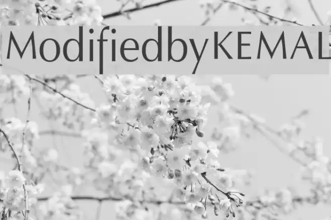ModifiedbyKEMAL Шрифта examples