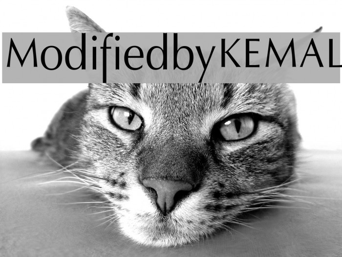 ModifiedbyKEMAL Font examples