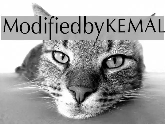 ModifiedbyKEMAL Шрифта examples