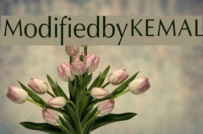 ModifiedbyKEMAL Font examples