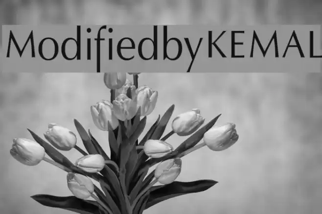 ModifiedbyKEMAL Шрифта examples