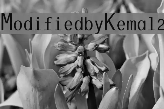 ModifiedbyKemal2 Font examples