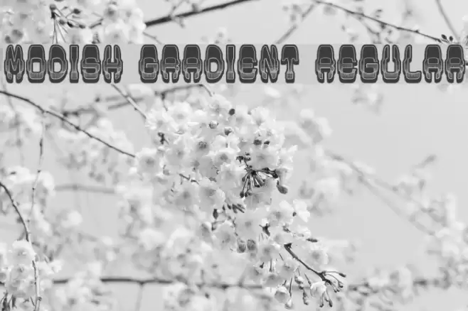 Modish Gradient Regular Font examples
