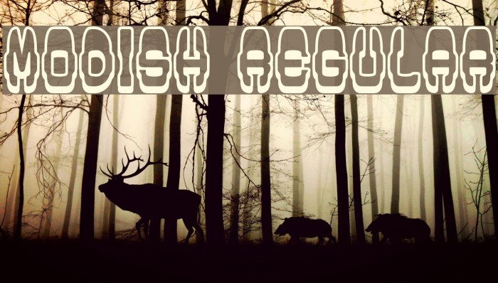 Modish Regular Example 1