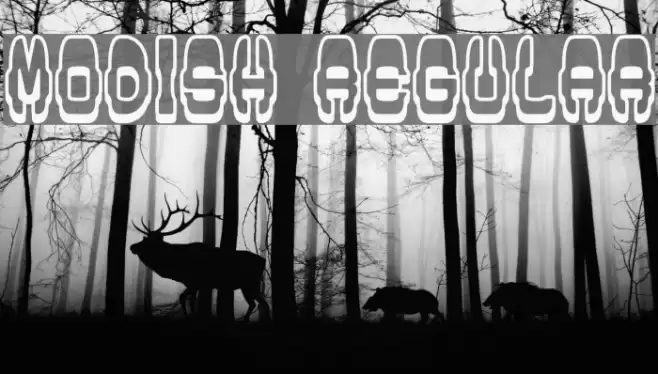 Modish Regular Font examples