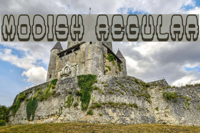 Modish Regular Example 2