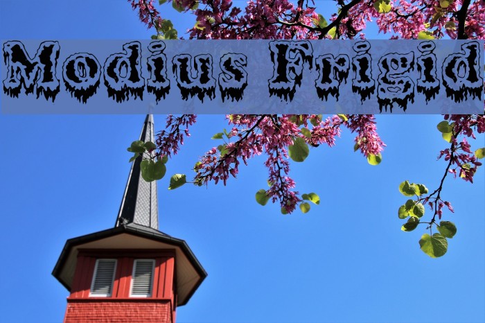 Modius Frigid Font examples