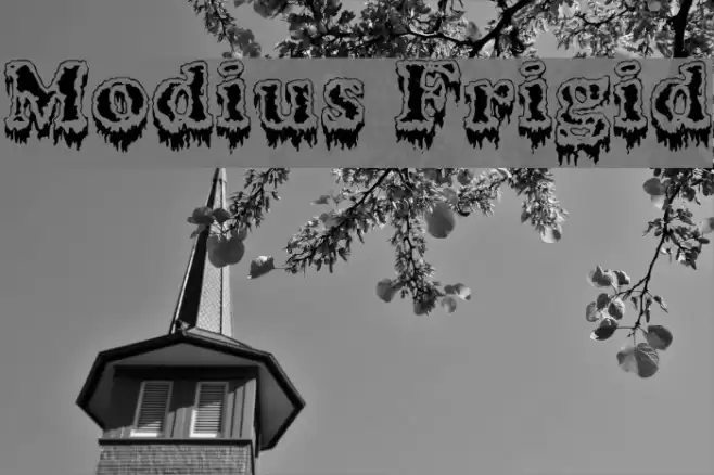 Modius Frigid Schriftart examples