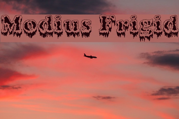 Modius Frigid Font examples