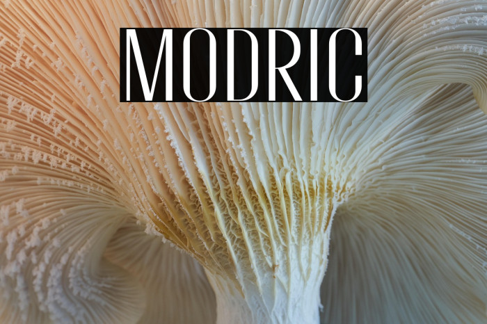 Modric Example 3