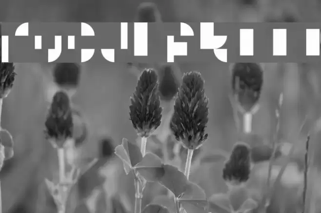 Modular III Font examples