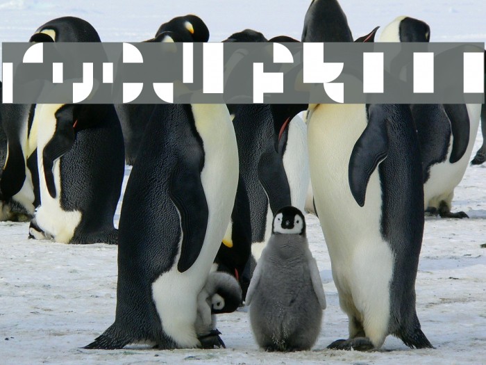 Modular III Example 3