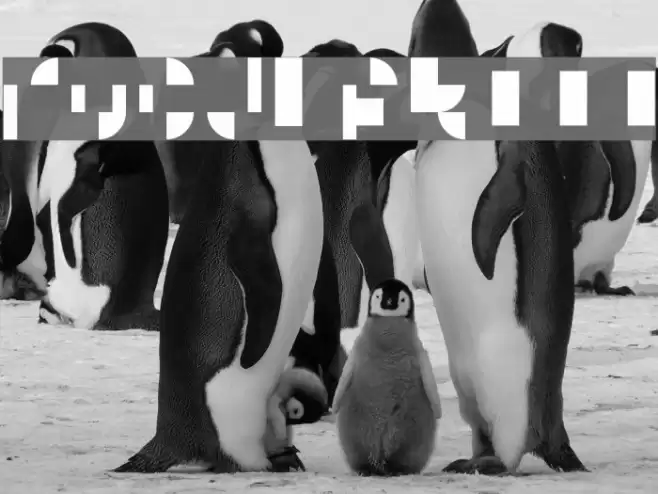 Modular III Font examples