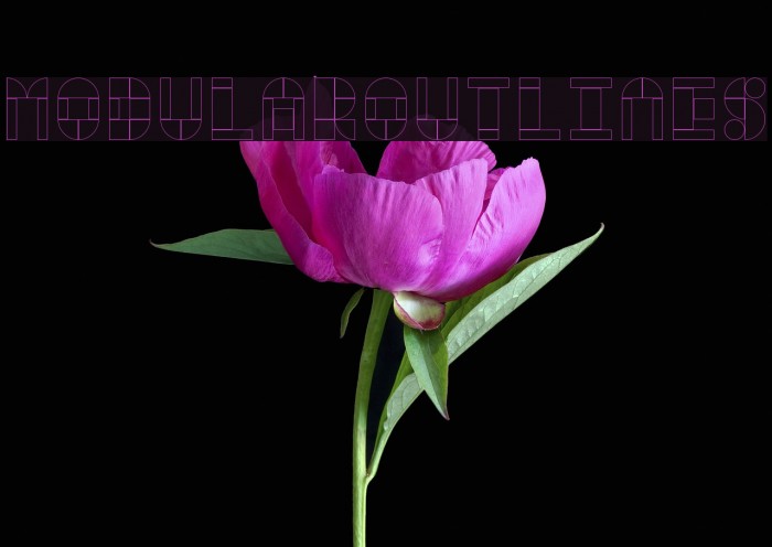 Modular Outlines Example 2