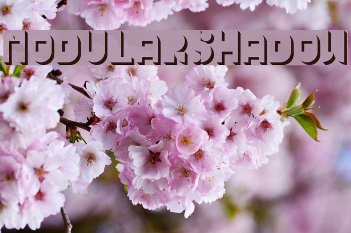 Modular Shadow Font examples