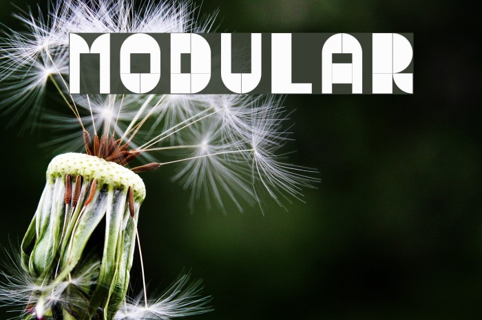 Modular Font examples