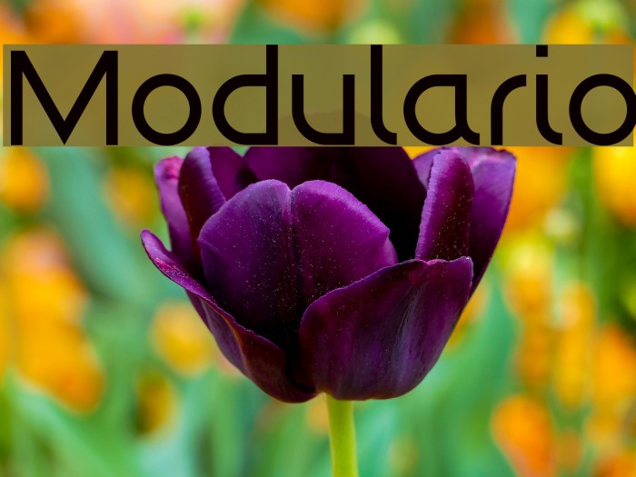 Modulario Font examples