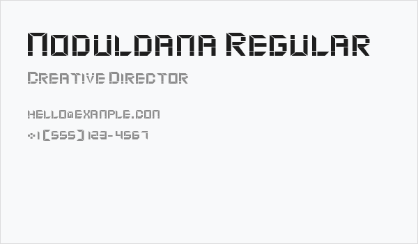 Moduldama Regular Business Card